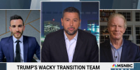 'A bunch of nuts and kooks and weirdos': Trump's new transition team