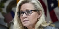 ‘An act of patriotism’: Liz Cheney’s endorsement of VP Kamala Harris puts country over party